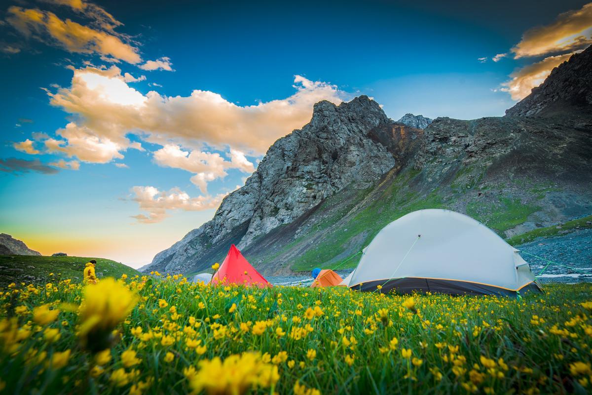 芳草冰視最新，任務(wù)完成與技能學(xué)習(xí)詳細(xì)步驟指南