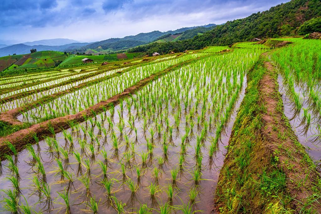 疫情控制最新動(dòng)態(tài)更新，最新進(jìn)展與趨勢(shì)分析