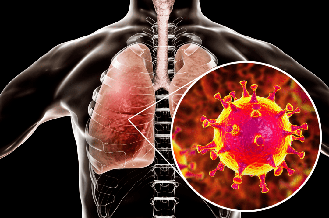 全球病毒疫情最新動(dòng)態(tài)，心靈之旅在大自然的呼喚中啟程