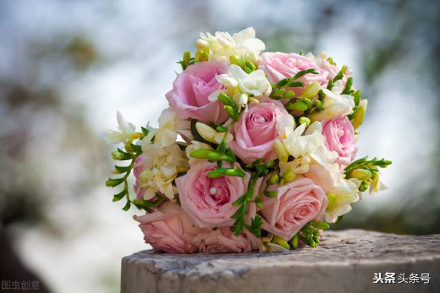 花束最新款，展現(xiàn)自信與成就之花束