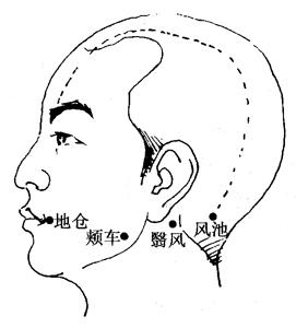 最新經(jīng)絡(luò)療法，開啟健康之旅的秘訣??