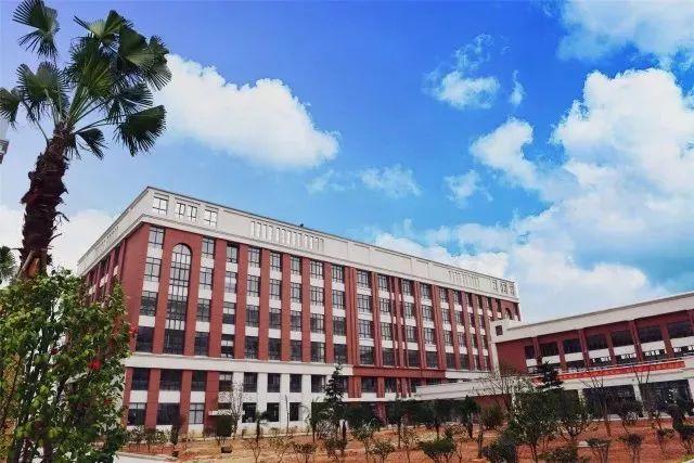 溫州最新動態(tài)，城市變遷中的學習之光