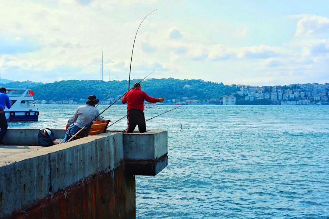 抖音最新流量趨勢(shì)洞察，機(jī)遇與挑戰(zhàn)并存