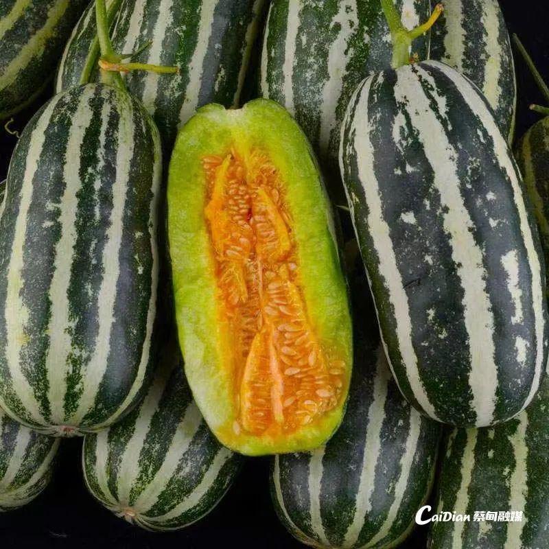 網(wǎng)紅最新瓜，一場溫馨有趣的日常故事揭秘