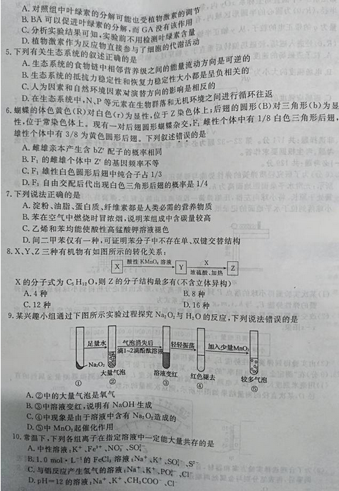 最新概念答案，擁抱變化，自信成就夢想之旅
