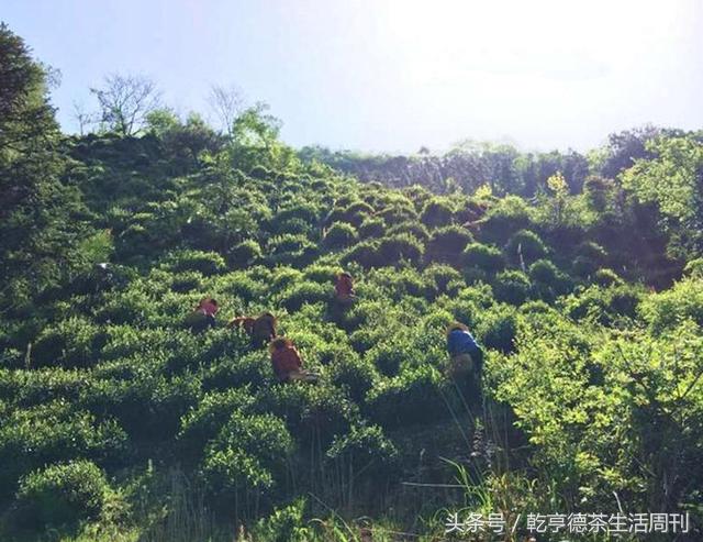 宣城新冠病毒防護指南，最新防護策略及應對方法