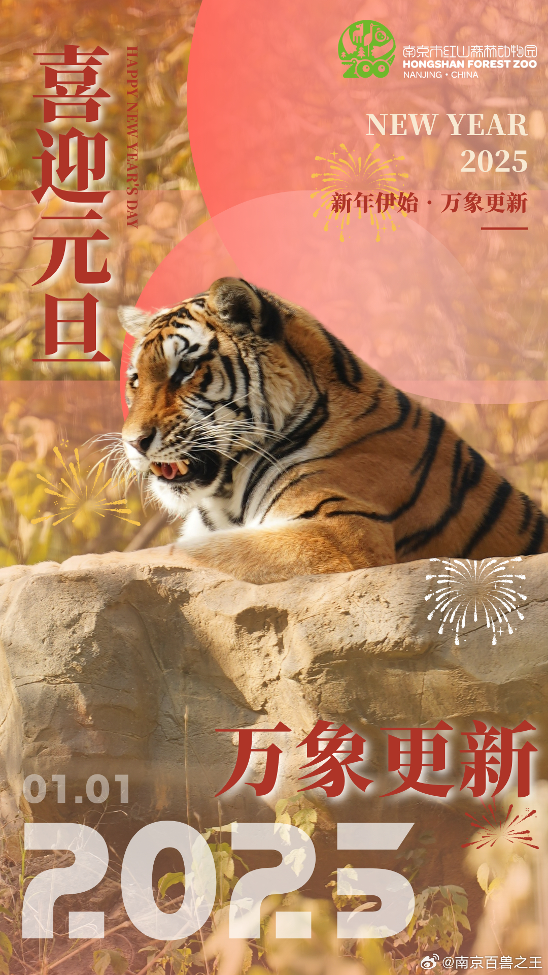 最新年伊始，完成某項(xiàng)任務(wù)或?qū)W習(xí)某種技能的詳細(xì)步驟指南