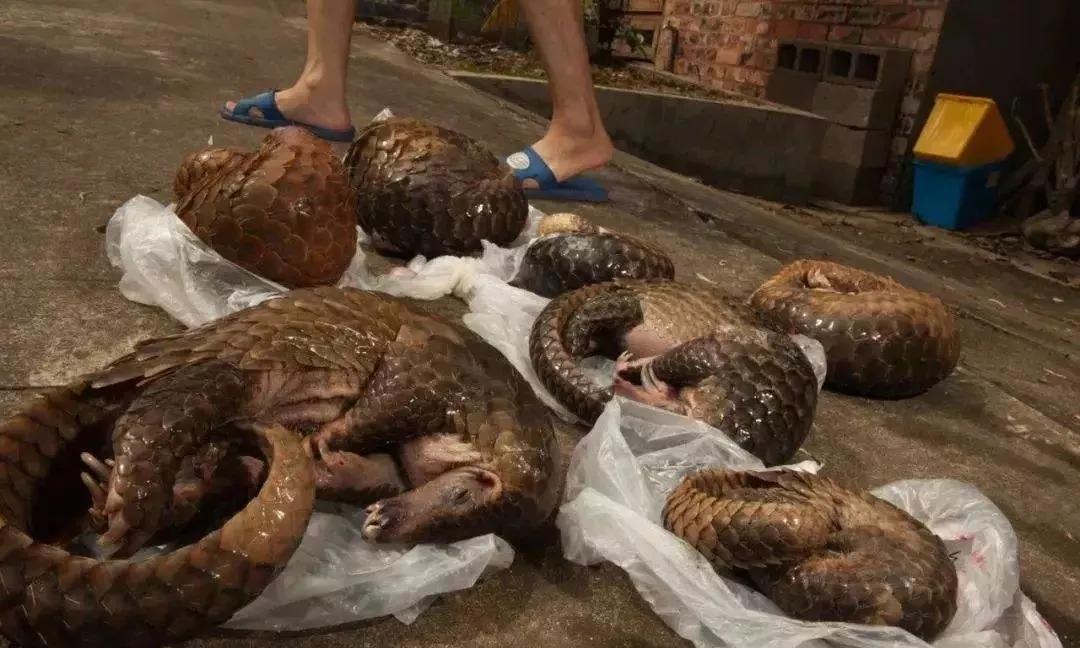 管軼最新證據(jù)揭示，變化是成長的催化劑，學(xué)習(xí)自信之源