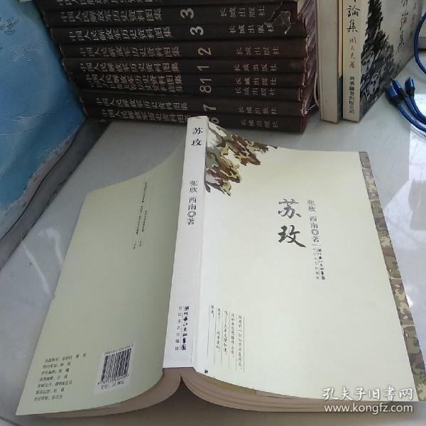 時(shí)代背景下的璀璨篇章，蘇最新章節(jié)速遞