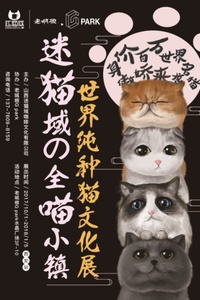 喵咪最新域，溫馨有趣的日常故事分享