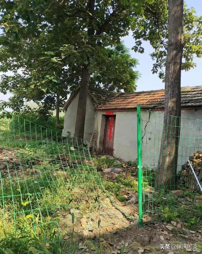 網(wǎng)曝門(mén)最新動(dòng)態(tài)，任務(wù)完成與技能學(xué)習(xí)指南全攻略