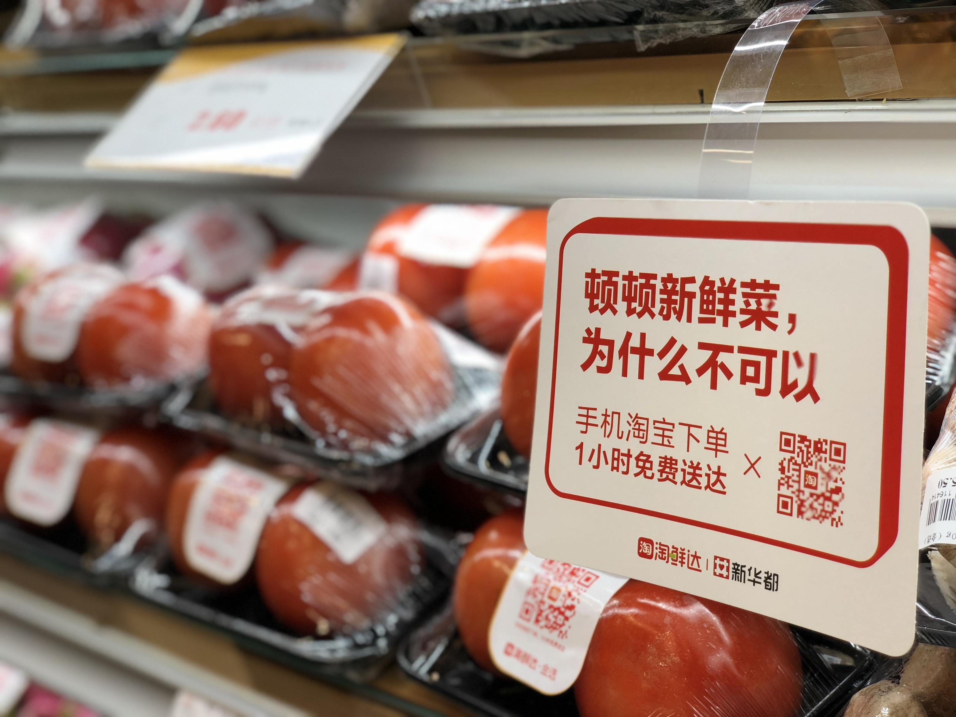 小巷中的秘密美食天堂，淘最新鮮美食之旅