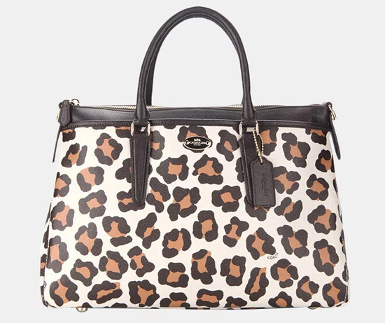 最新大牌包包推薦，選購(gòu)指南與技巧，時(shí)尚必備之選