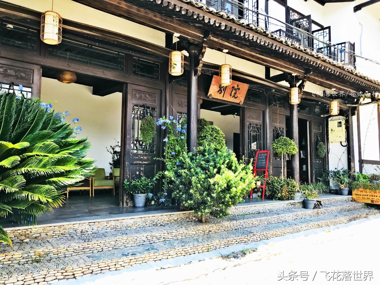 永嘉最新建筑探索，現(xiàn)代都市新地標亮相