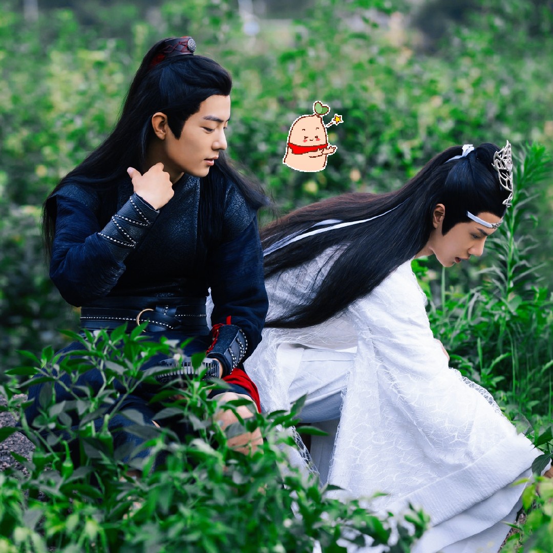 陳情令最新花，花海中的溫馨奇遇