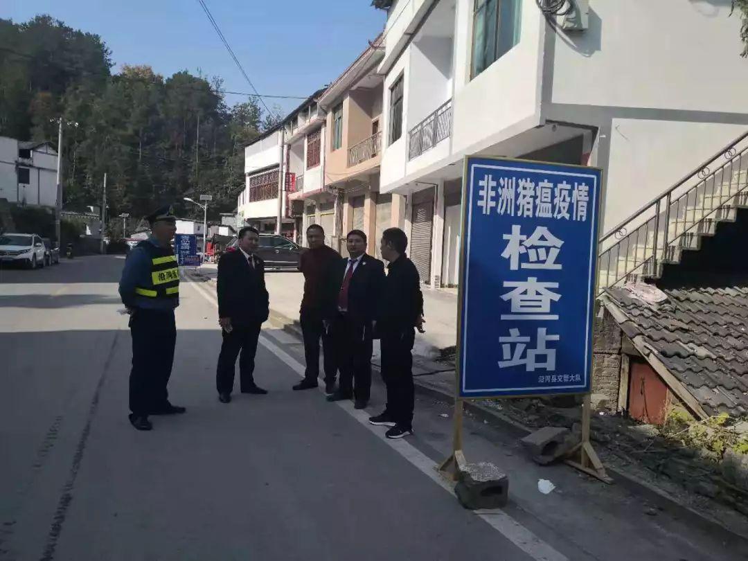 最新非洲疫情動態(tài)及應(yīng)對步驟指南