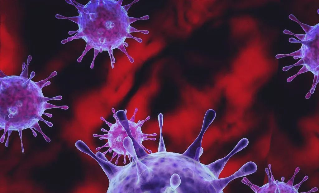 最新病毒治愈進(jìn)展，科學(xué)之光引領(lǐng)希望之路