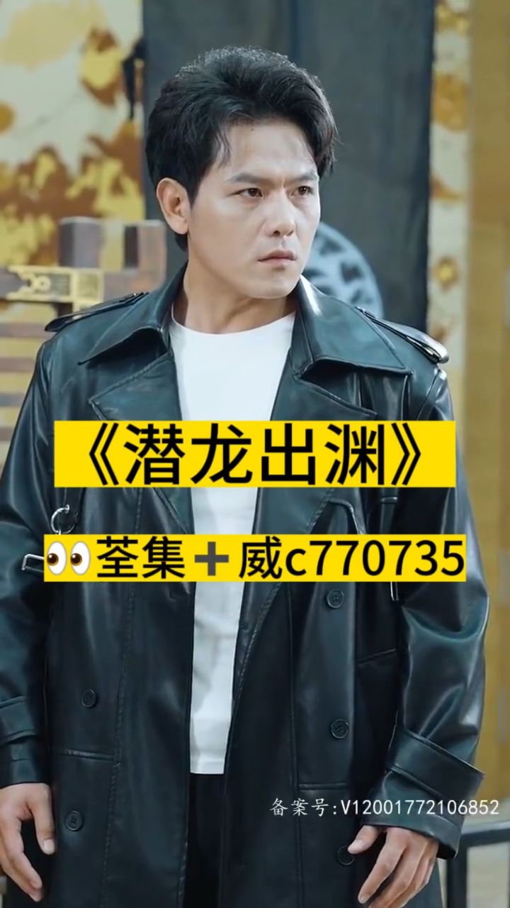 淘龍最新視頻，日常趣事與愛(ài)之陪伴