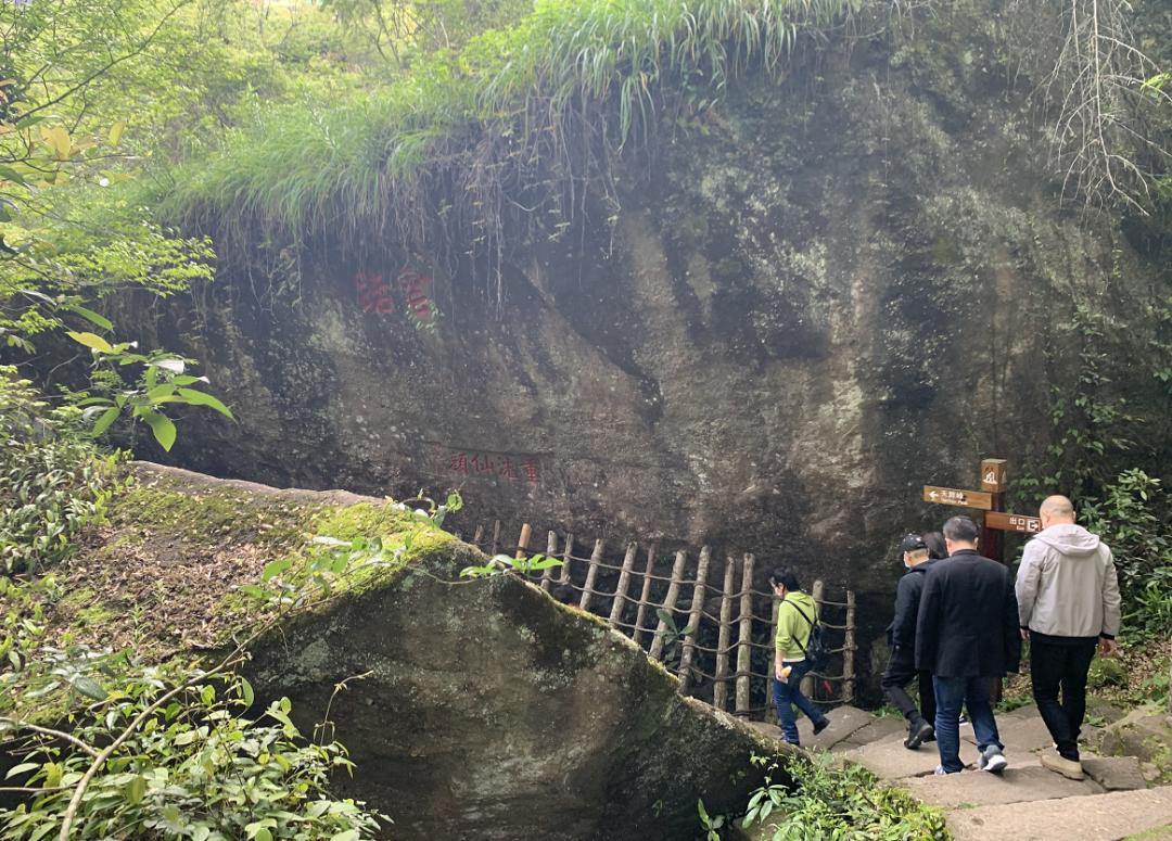 最新醫(yī)護(hù)產(chǎn)品全方位教程,從入門到進(jìn)階的使用指南