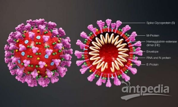 最新新冠心，變化中的學(xué)習(xí)，自信與成就的力量之路