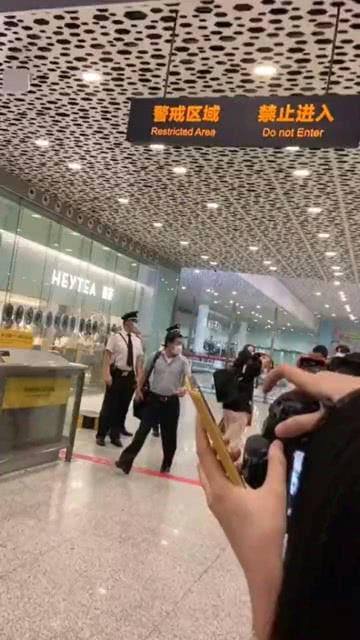 林一機(jī)場最新動態(tài)，發(fā)展、創(chuàng)新與未來展望