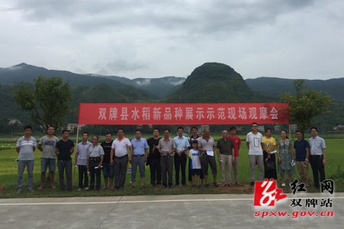 雙牌縣新時代新面貌，探尋最新發(fā)展與變化