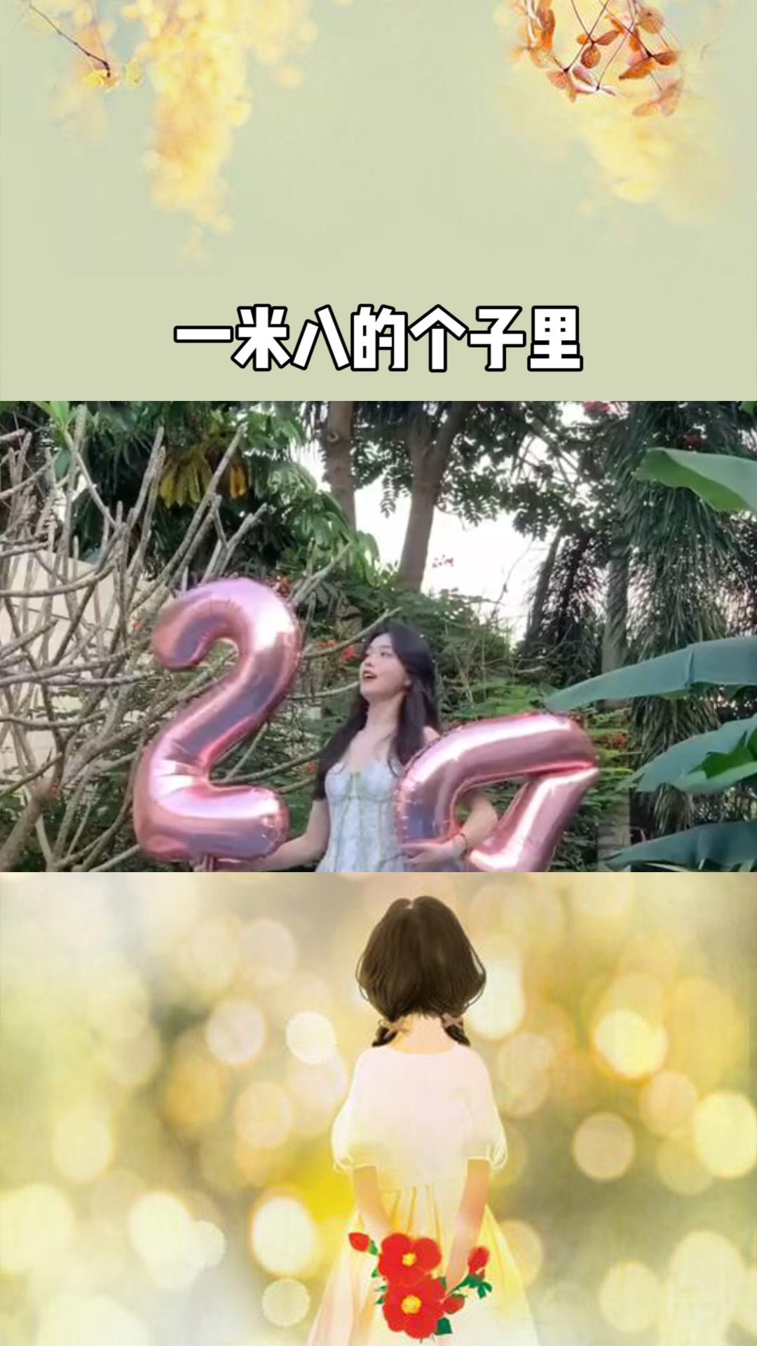 探尋奇幻世界的冒險與奧秘，公主一米八最新章節(jié)