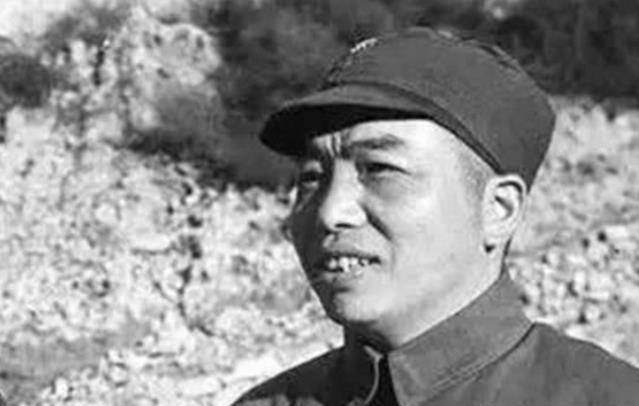 虎將秦衛(wèi)江的最新動(dòng)態(tài)與日常趣事，溫情紐帶揭秘