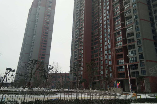 健龍果嶺公元最新動(dòng)態(tài)更新，最新消息匯總