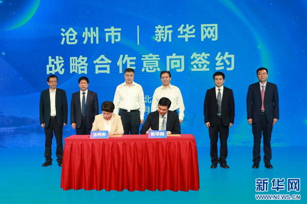 滄州新聞網(wǎng)，城市溫馨日常與深厚友情的最新報(bào)道