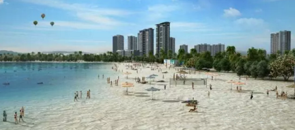 大亞灣羅健強(qiáng)最新動(dòng)態(tài)，技能提升與任務(wù)完成指南