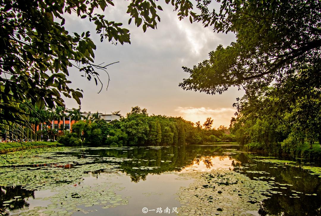 華南海域最新天氣報告，探索自然美景之旅，尋求內(nèi)心寧靜與平和的旅程