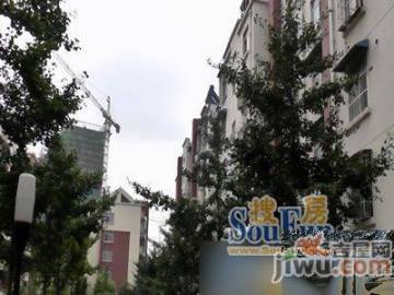 信宜玉龍山莊最新房?jī)r(jià)動(dòng)態(tài)，機(jī)遇與自我超越的旅程