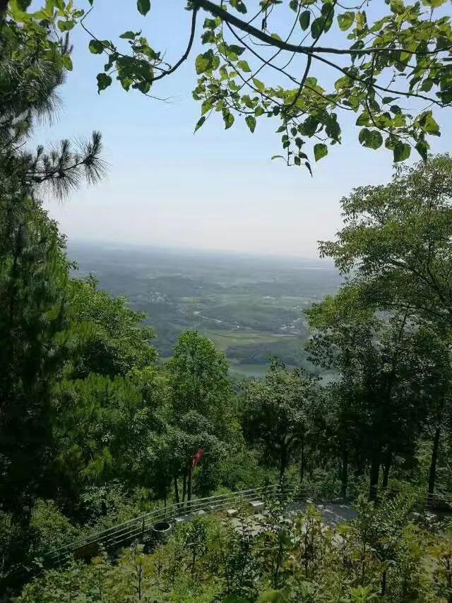 華容縣東山鎮(zhèn)最新項(xiàng)目，引領(lǐng)地區(qū)發(fā)展的強(qiáng)大驅(qū)動(dòng)力