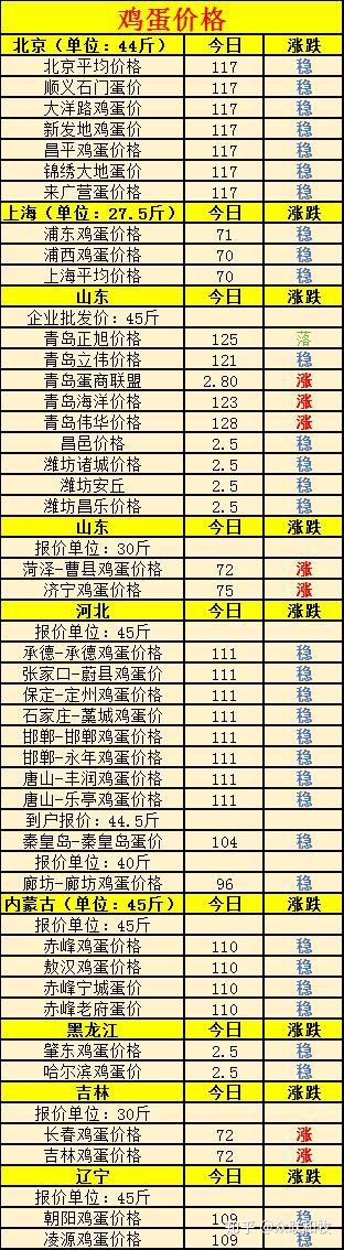 全國雞蛋最新批發(fā)價(jià)格，友情與陪伴中的溫情故事