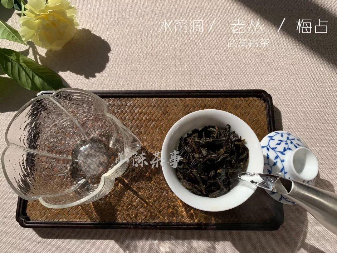 普洱茶的最新國家標(biāo)準(zhǔn)及其解讀與見解