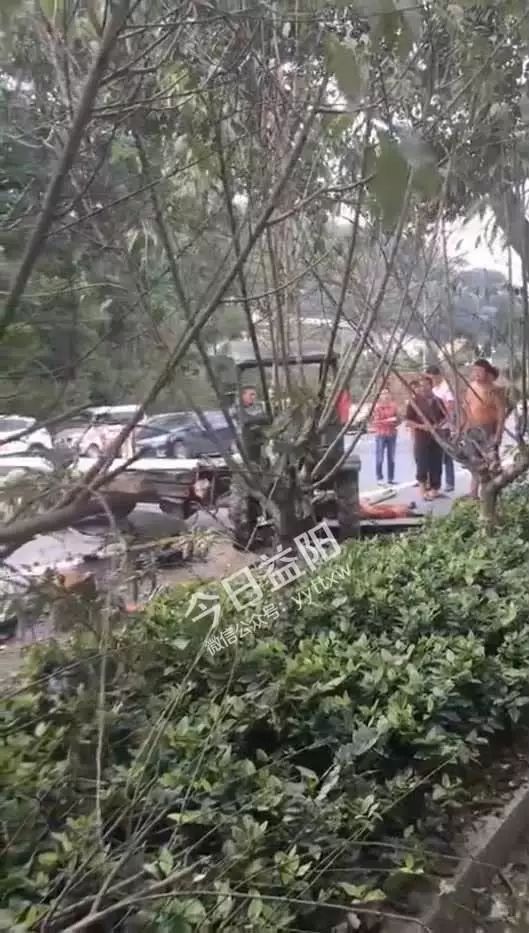 桃江竹海車(chē)禍最新進(jìn)展，背后的力量與希望之光