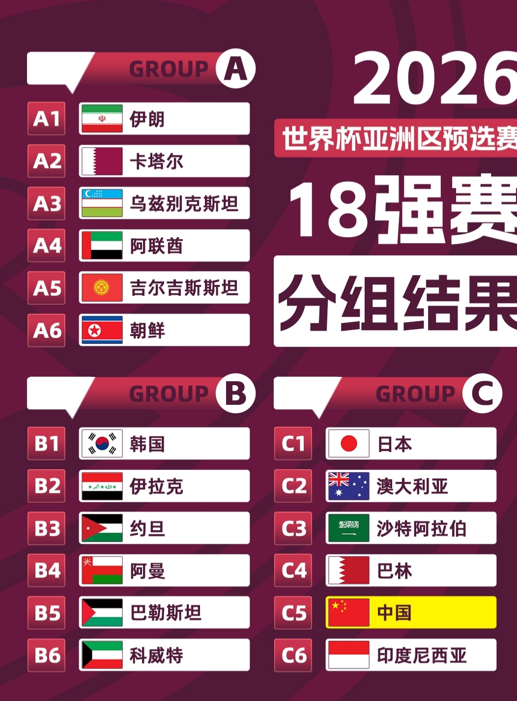 世界杯預(yù)選賽最新結(jié)果，賽場風(fēng)云與命運博弈的解讀揭秘之戰(zhàn)！