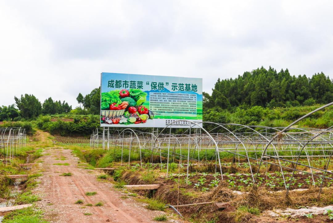簡陽市江源鎮(zhèn)未來藍圖展望，最新規(guī)劃與未來發(fā)展