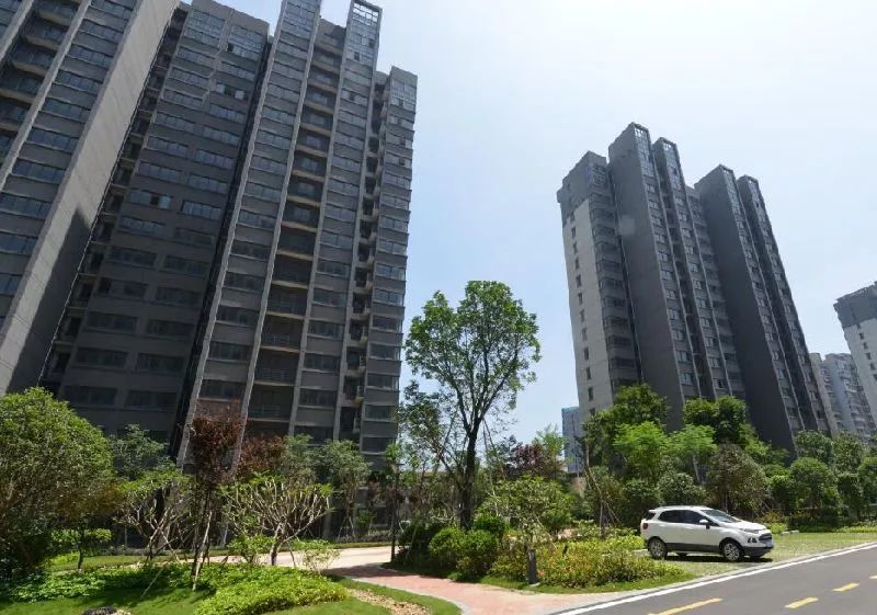 福州臚雷新城最新動(dòng)態(tài)，探索自然美景，尋覓內(nèi)心平靜之旅