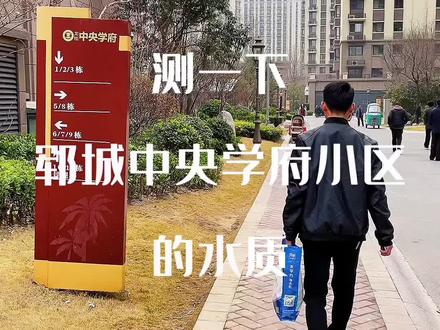 鄆城中央學府最新動態(tài)，進展、影響與觀點分析