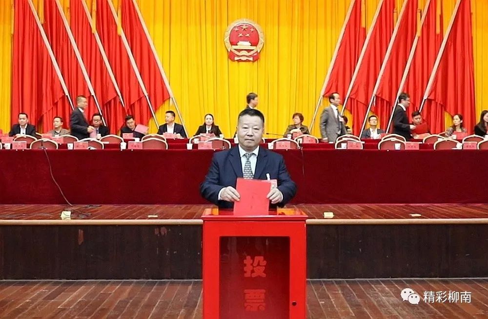 柳州市柳南區(qū)區(qū)長最新動態(tài)，小巷深處的獨(dú)特風(fēng)味探索