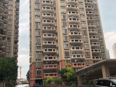 茂名最新二手房，與自然美景相遇，內心平和的居住之旅