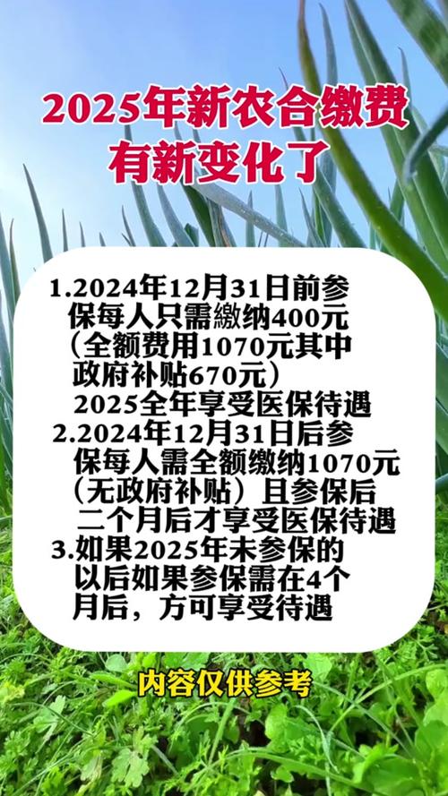 新農(nóng)合最新政策2025，背景、影響與地位分析