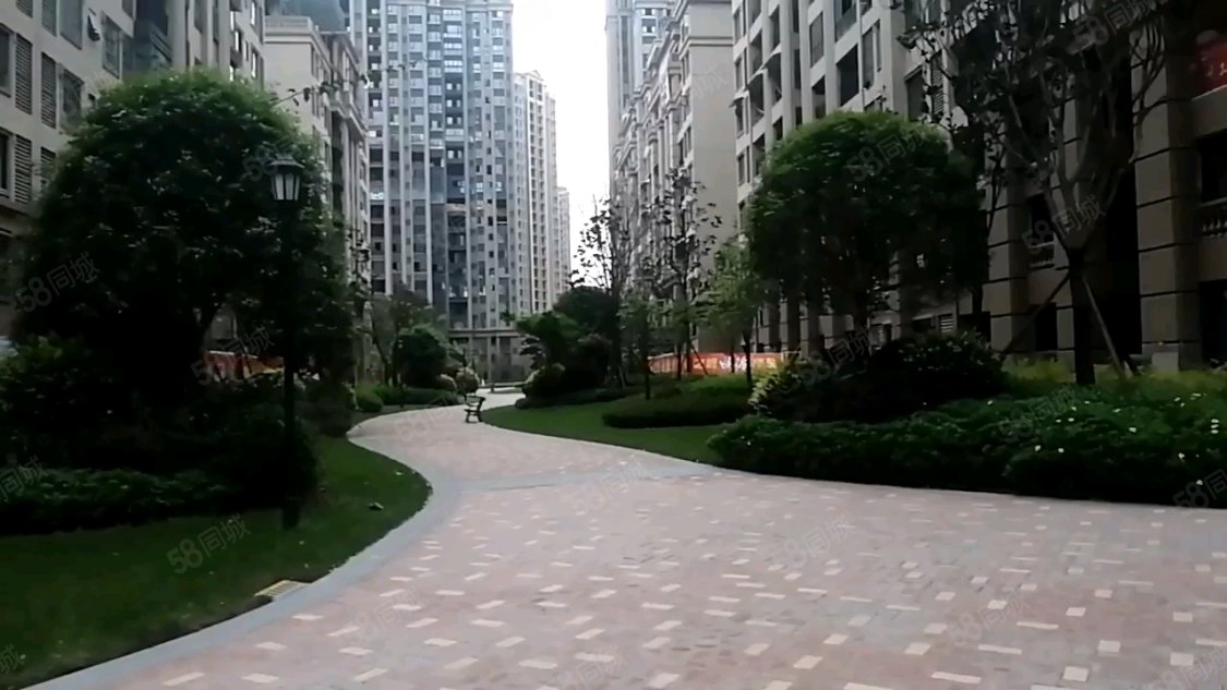 承平盛世四期最新圖片展示及介紹