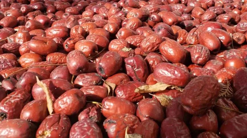 非常完美最新一期音樂盛宴，嗨翻全場的音樂狂歡！