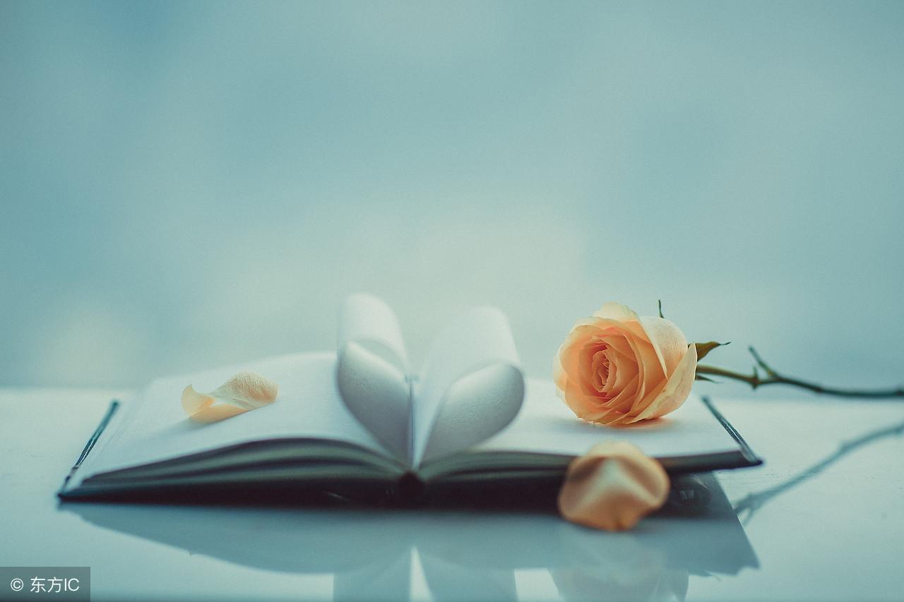 執(zhí)愛成灰最新章節(jié)列表及內(nèi)容概述