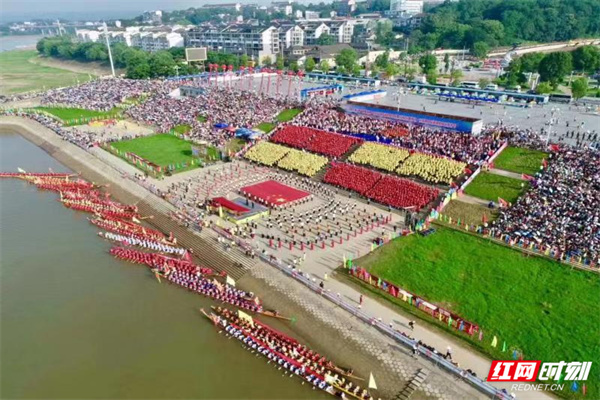 沅陵紅網(wǎng)10.31最新消息解讀指南，從初學(xué)者到進(jìn)階用戶的全方位指南