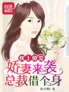 枕上撩妻有道，心動不已的浪漫之旅最新章節(jié)