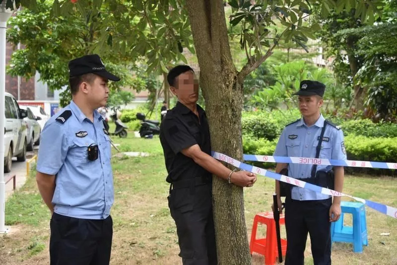 北海打傳辦最新動(dòng)態(tài)及其影響分析，一種觀點(diǎn)的視角